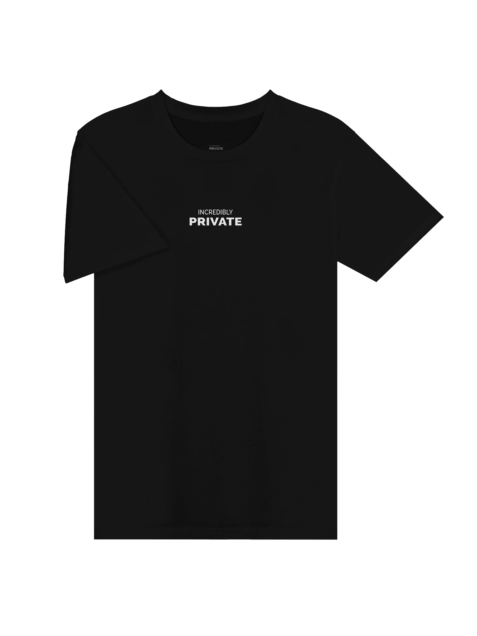 INCREDIBLY PRIVATE heavyweight tee — product frame