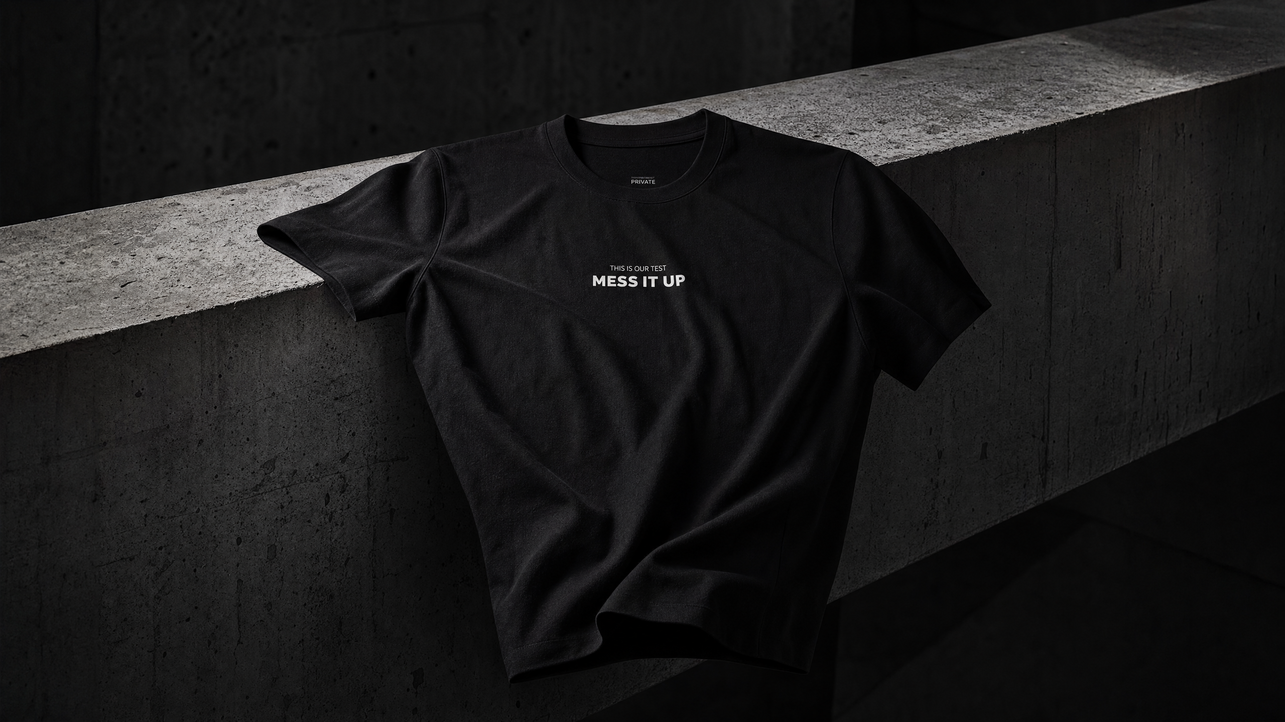THIS IS OUR TEST. MESS IT UP. heavyweight tee — editorial campaign frame