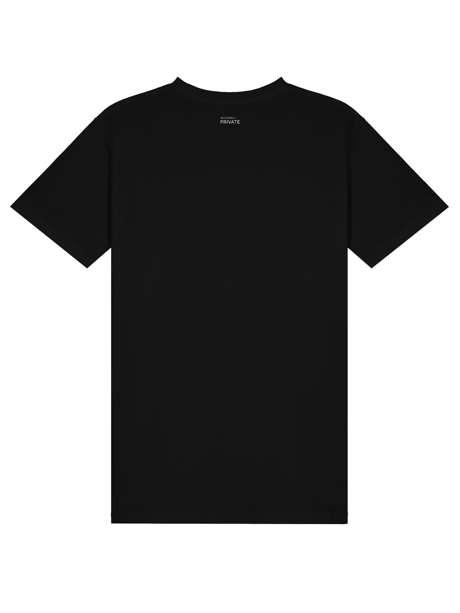 YOU’RE NOT BEHIND heavyweight tee — official Fourthwall back view — exterior INCREDIBLY PRIVATE branding