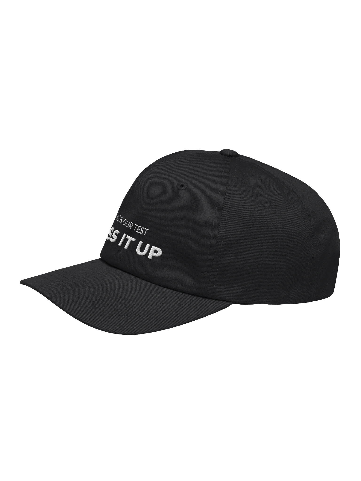 THIS IS OUR TEST. MESS IT UP. embroidered dad cap — product frame